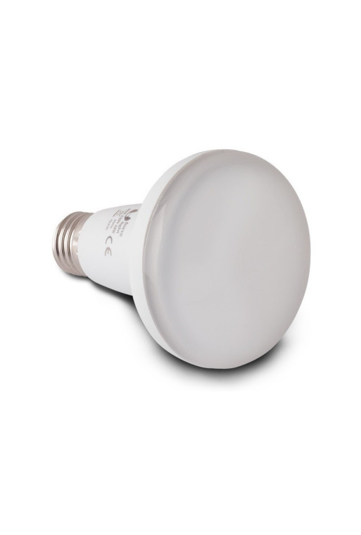 LED E27 12W 3000K